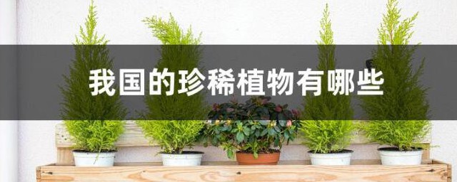 我国有哪些珍稀植物 我国珍稀植物有什么