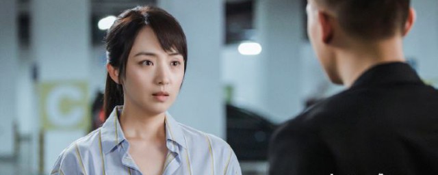 电视剧黑白禁区剧情介绍 电视剧黑白禁区讲的什么