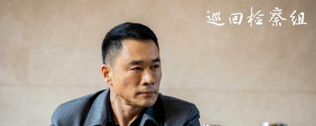巡回检察组沈广军扮演者 巡回检察组讲述了什么故事