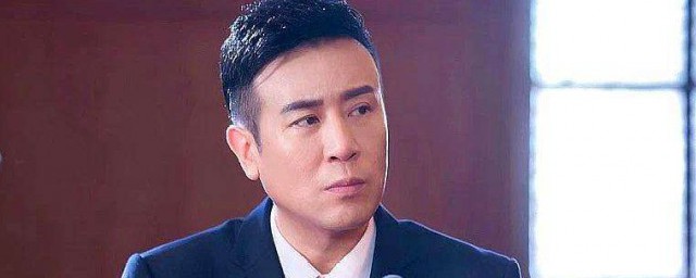 巡回检察组于和伟演的是谁 电视剧巡回检察组简介