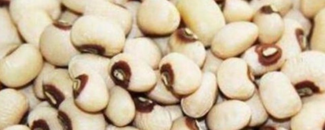 眉豆怎样保存 眉豆的保存技巧