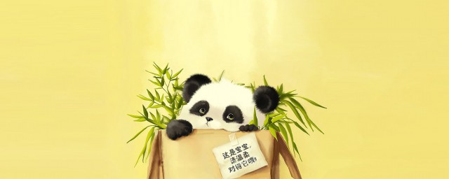 如何保护动物 如何保护动物