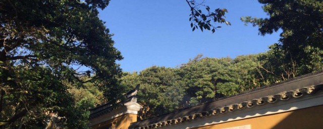 适合发呆的旅游景点 具体有哪些适合发呆的旅游景点