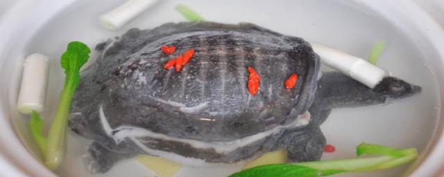 甲鱼怎样炖 炖甲鱼的做法