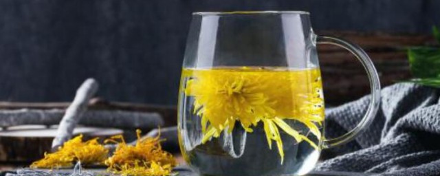 菊花做茶的步骤 新鲜菊花怎么做成菊花茶