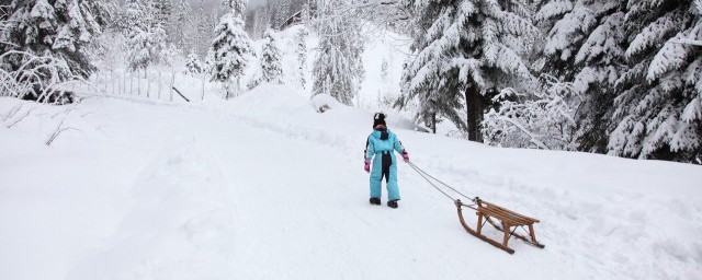 滑雪平衡训练方法 滑雪训练之平衡球的辅助训练办法