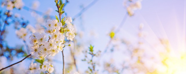 简单的字母网名 简洁的英文网名介绍