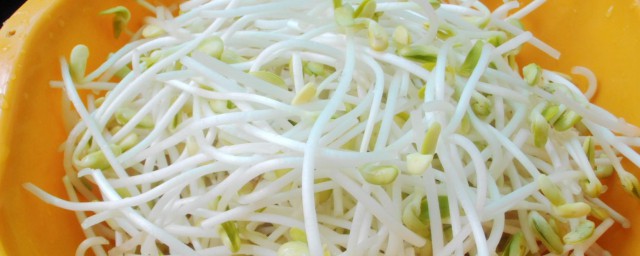 怎样让绿豆发芽 绿豆发芽的技巧