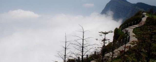 四大佛山是哪四大佛山 四大佛山分别是什么