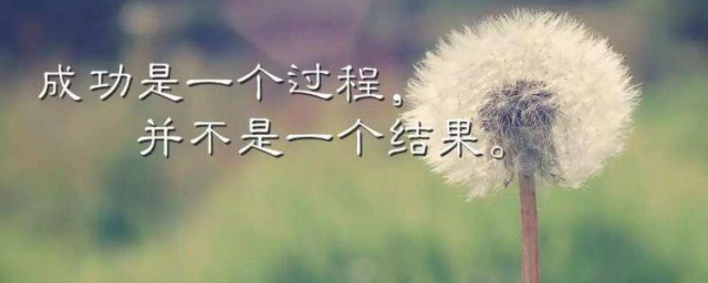 经典充满正能量的句子 描写充满正能量的句子