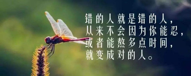 分手心灵鸡汤经典语录 分手心情说说