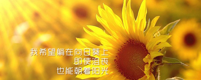 心灵鸡汤一句简短的话 关于简短的一句心灵鸡汤