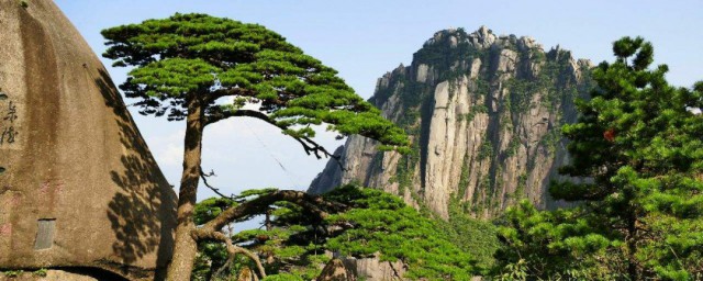 黄山的四绝是哪四绝 黄山的四绝简介