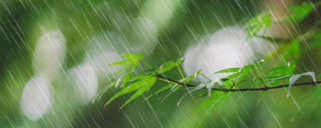 雨下得真大为中心句写十句话 描写雨下的真大的句子