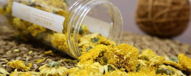 菊花泡水喝的9大忌讳 菊花泡水喝有什么忌讳