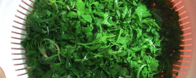 上汤荠菜怎样做 上汤荠菜做法