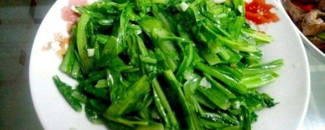 油麦菜怎么炒好吃 油麦菜的做法