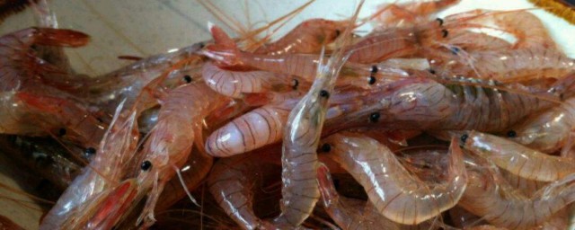 醉大虾的制作办法 如何做醉大虾