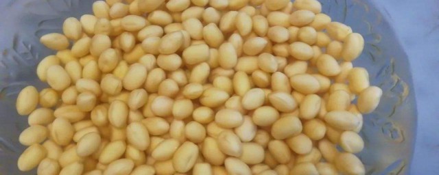 泡黄豆芽的好技巧 泡黄豆芽的技巧简介