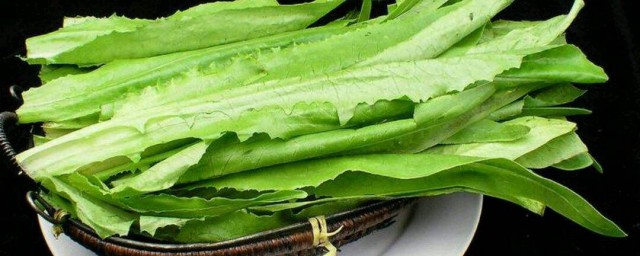 油麦菜怎样保鲜 怎样保存油麦菜