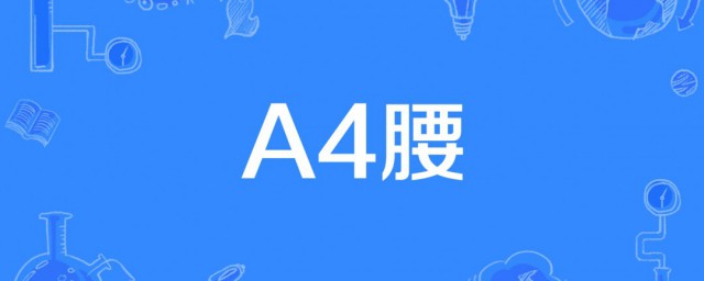 a4腰什么意思 什么是a4腰