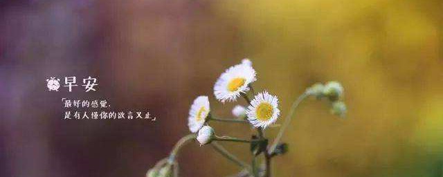清晨励志文案朋友圈 早晨阳光心语励志语录