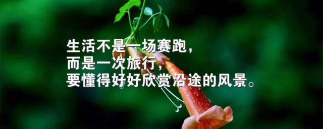 一句话说说唯美短句 一句话心情的唯美短句