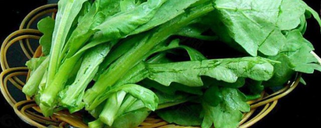 茼蒿菜食用禁忌 哪些不能吃茼蒿菜