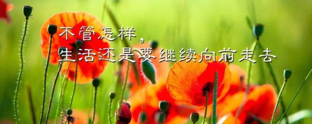 2023年精辟语录励志 心灵鸡汤经典励志语录摘抄