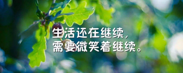 精辟励志经典语录 经典精辟励志语录句子有哪些