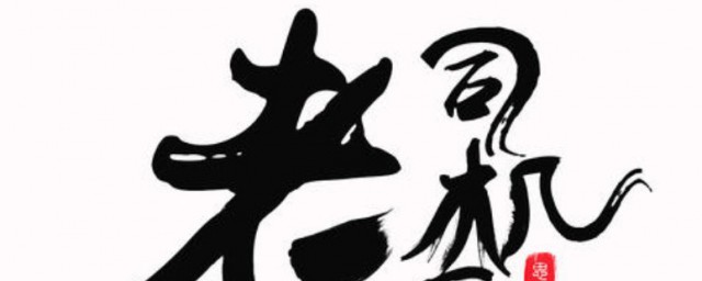 老司机的意思网络用语 老司机是什么意思