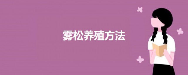 雾松养殖要领 雾松如何养