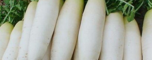 白萝卜多久能煮熟 白萝卜怎样煮