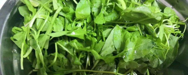 怎样做荠菜粉丝豆腐 荠菜粉丝豆腐简单做法