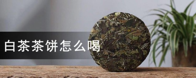 白茶饼冲泡方法 白茶饼如何冲泡