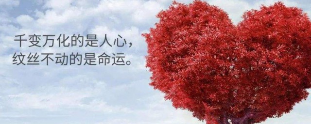 非常走心的一句话经典语录 最走心的话经典语录