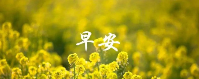 早上正能量的励志语录 关于早上正能量的励志语录句子