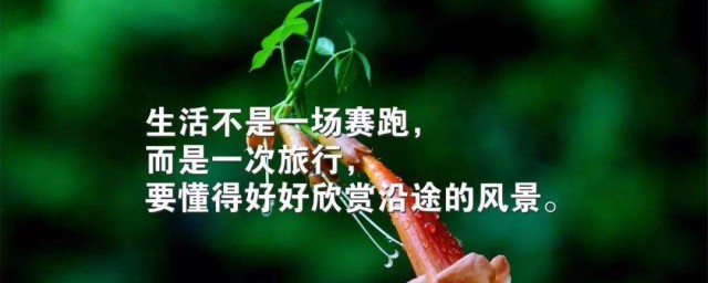 简短励志的人生格言 励志的人生格言句子大全