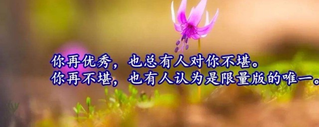 用来激励自己的座右铭 激励自己的座右铭有哪些