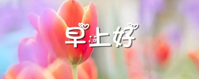 美的的一天的心情短语 每天美好的心情短语有哪些