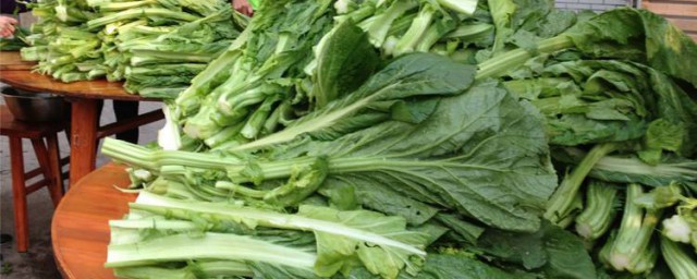 芥菜叶腌制技巧 怎样腌制芥菜叶子