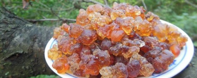 桃胶适合什么季节吃 什么季节适合吃桃胶