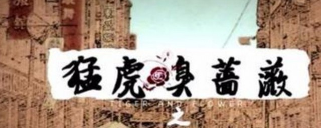 猛虎嗅蔷薇之独行其盗演员表 猛虎嗅蔷薇之独行其盗介绍