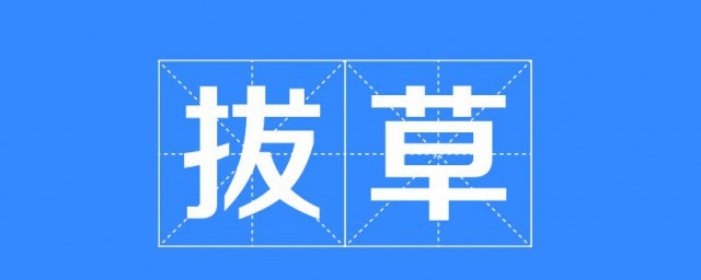 网络语拔草的意思 拔草的意思介绍