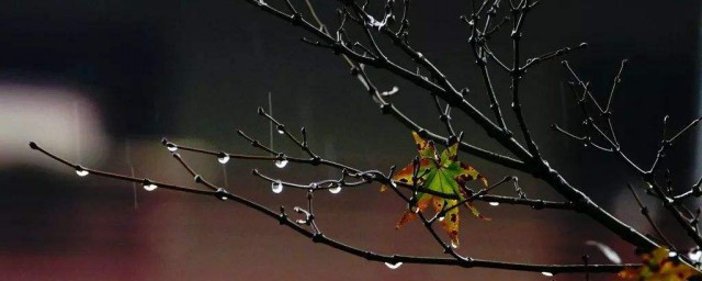 风瑟瑟兮雨萧萧的意思 风瑟瑟兮雨萧萧原文