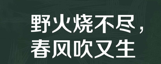 野火烧不尽的野火是什么意思 野火烧不尽的原文及译文