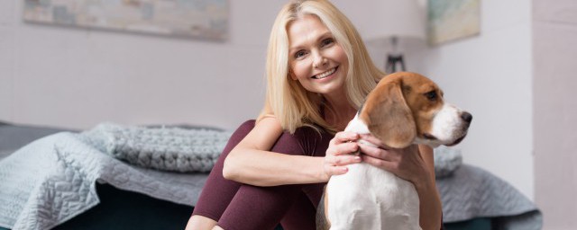 怎么训练比格犬 训练比格犬的办法
