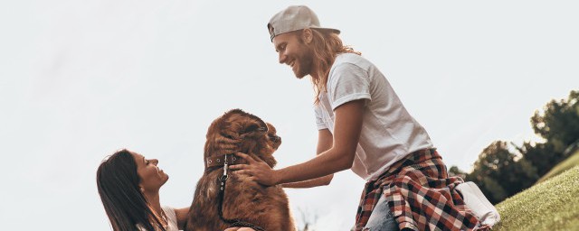 经典人生感悟句子精选 如何写出自己的感悟