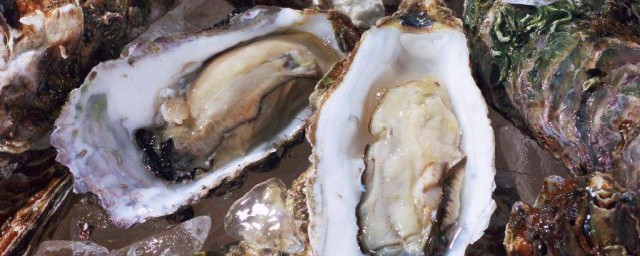 牡蛎腌制技巧 牡蛎腌制技巧简单简介