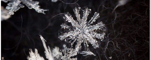 单反拍雪花技巧 怎样用单反拍雪花